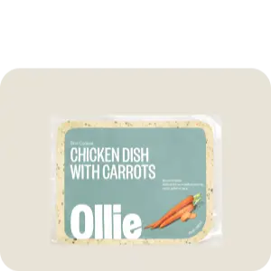 Ollie Dog Food Review (Fresh) image