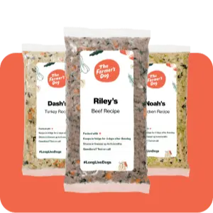 The Farmers Dog Review image